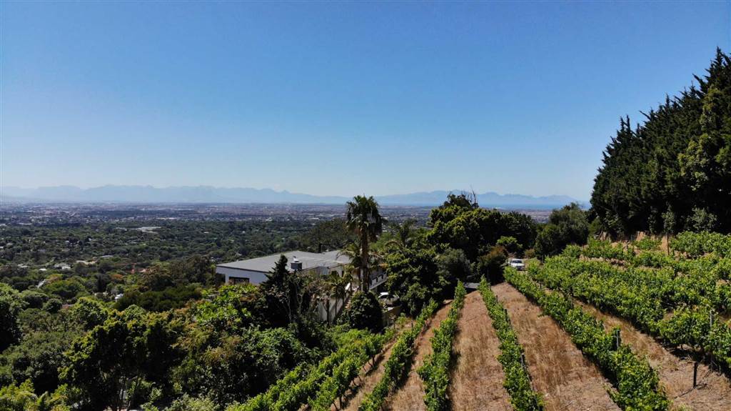 4081 m² Land available in Constantia photo number 9