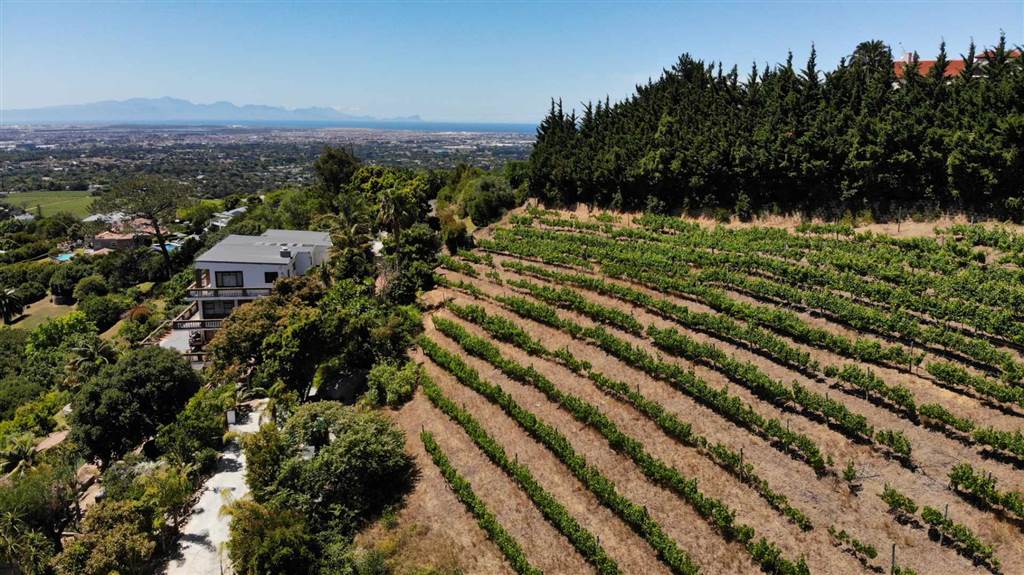 4081 m² Land available in Constantia photo number 7