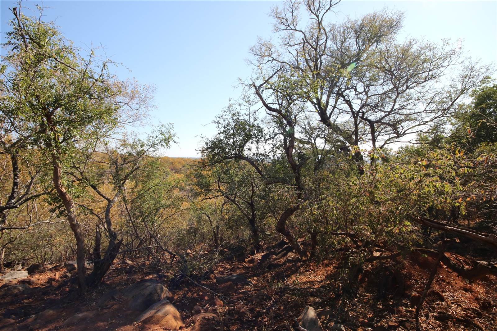 1 ha Land available in Hoedspruit photo number 8