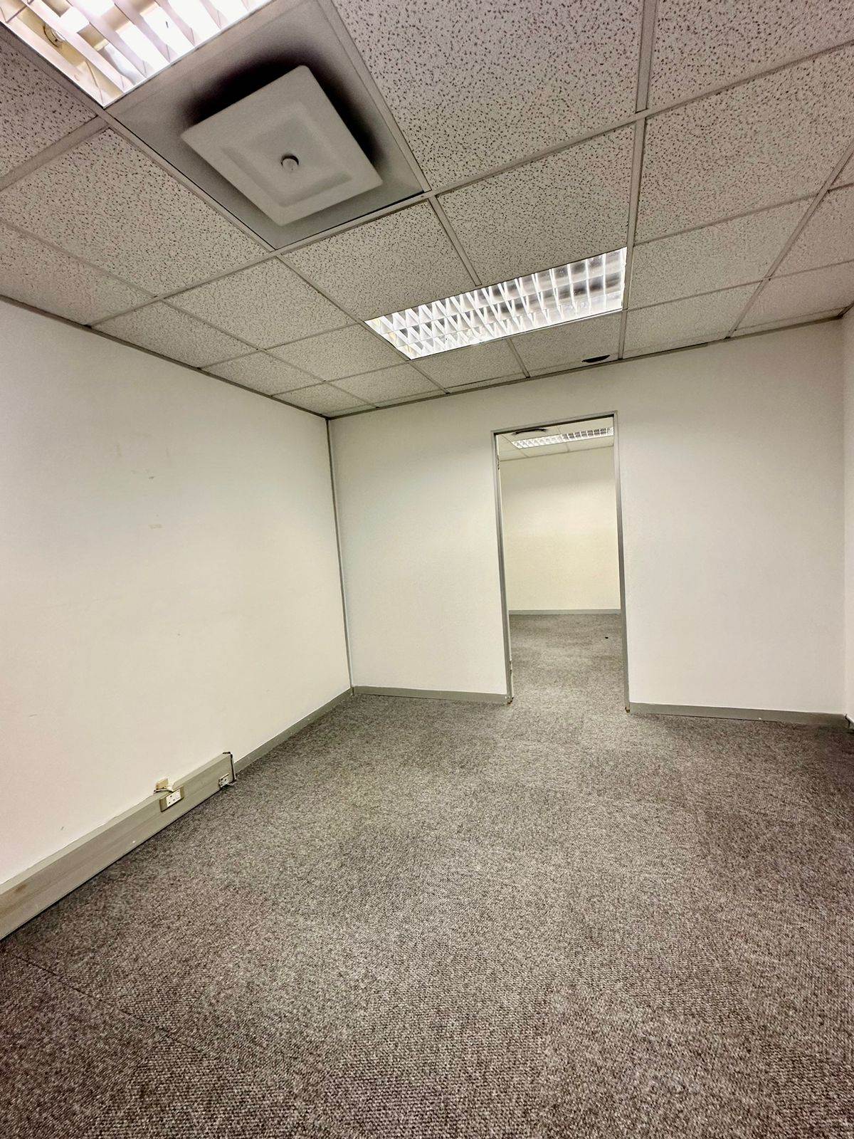 2482  m² Office Space in Musgrave photo number 3