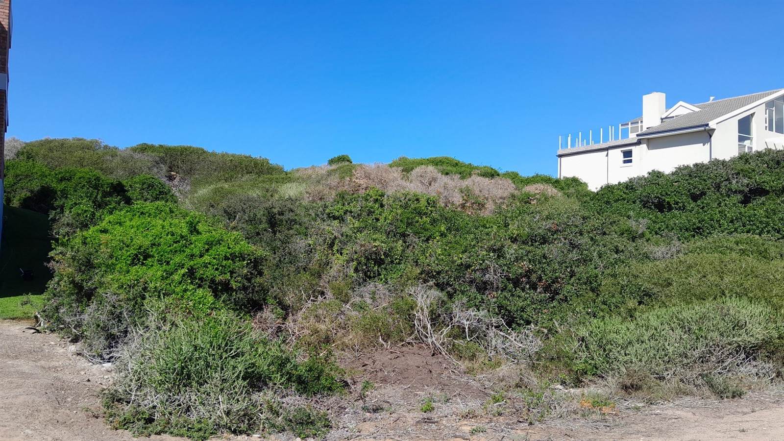 1250 m² Land available in Dana Bay photo number 6
