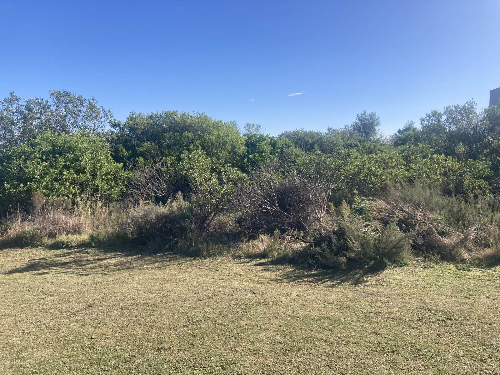 1667 m² Land available in Brackenridge photo number 3