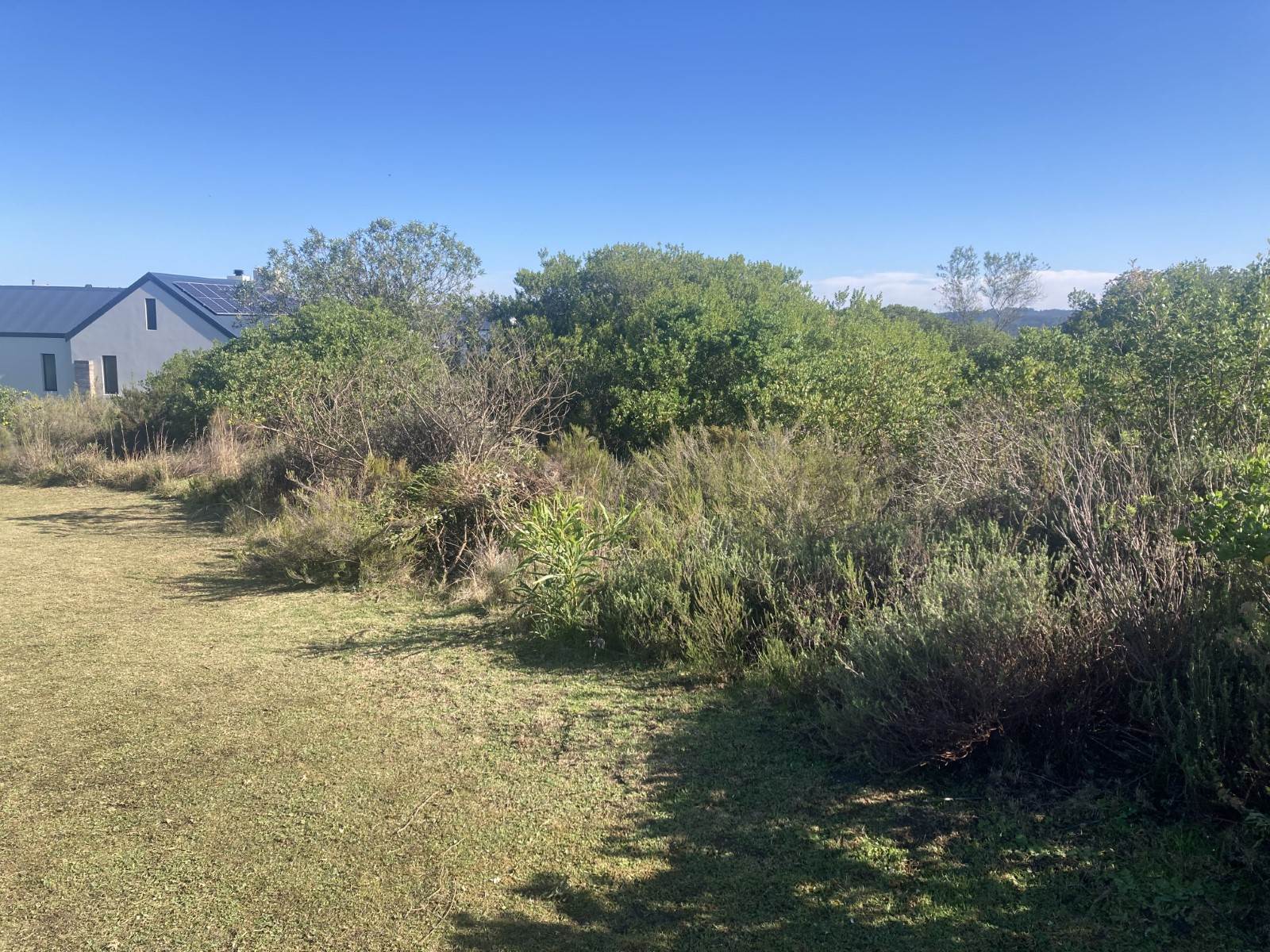 1667 m² Land available in Brackenridge photo number 4