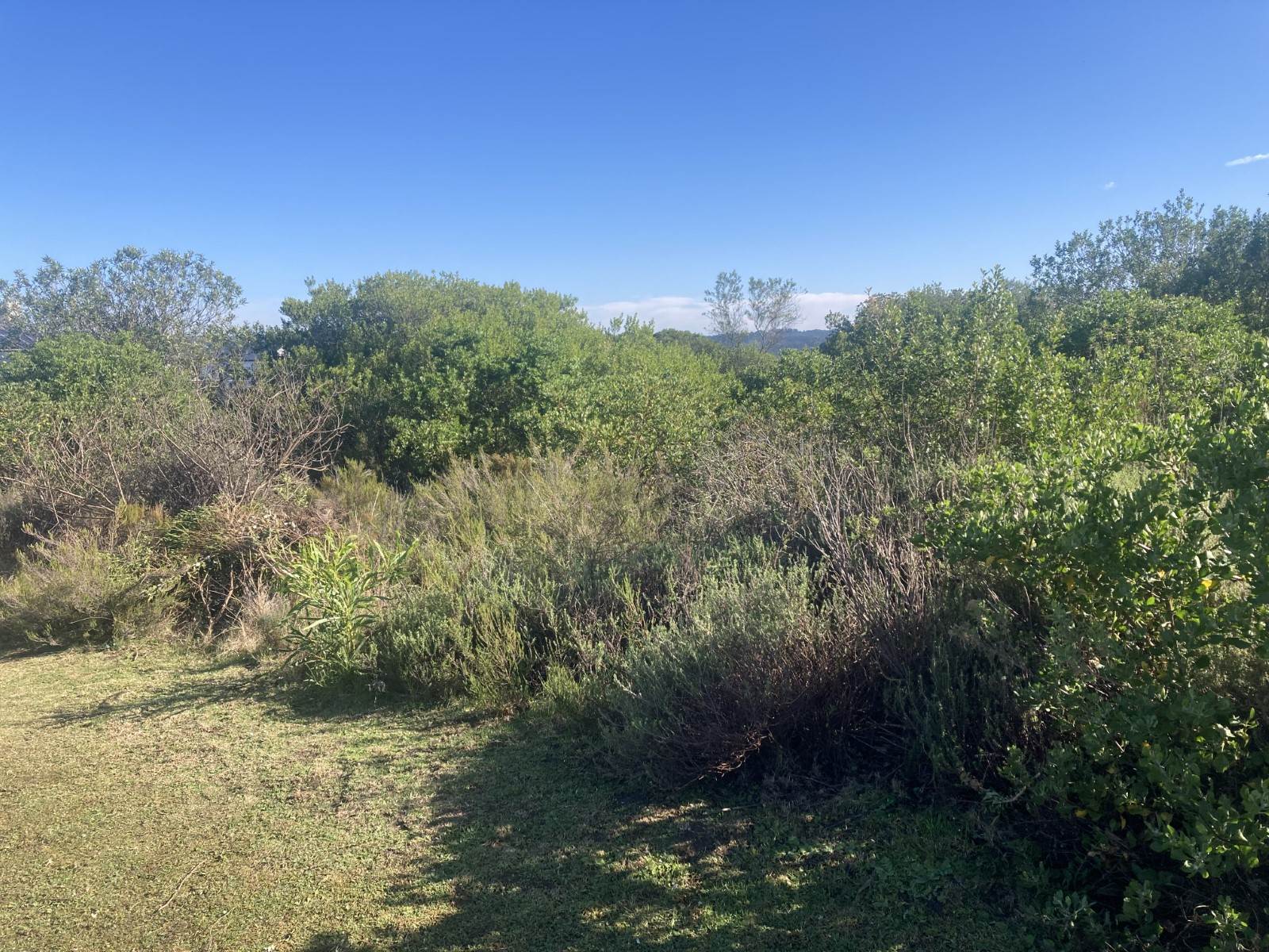 1667 m² Land available in Brackenridge photo number 5