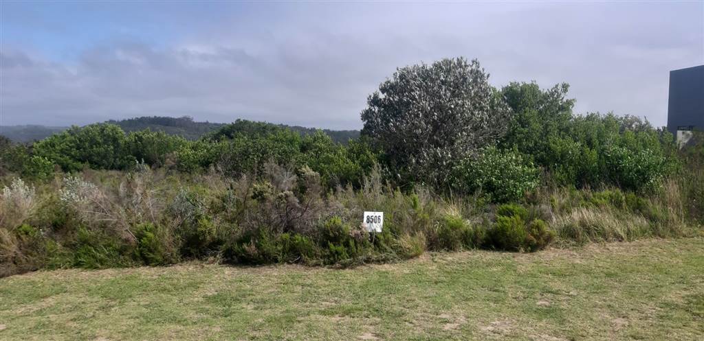 1667 m² Land available in Brackenridge photo number 10