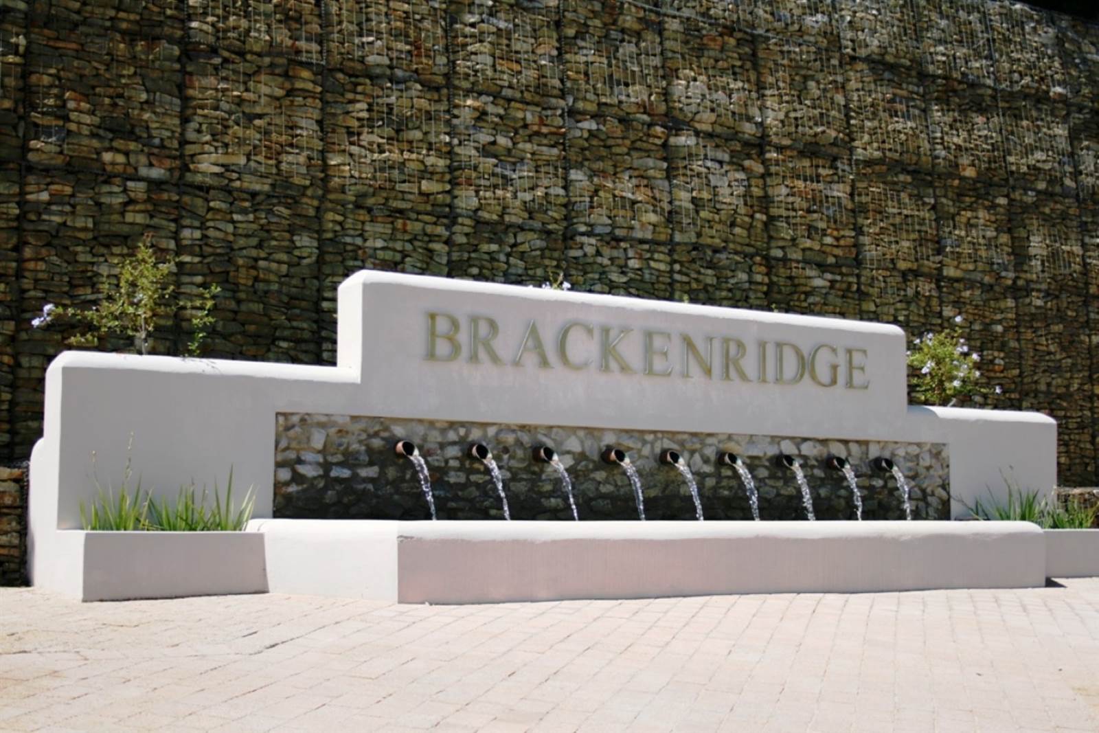 1667 m² Land available in Brackenridge photo number 11