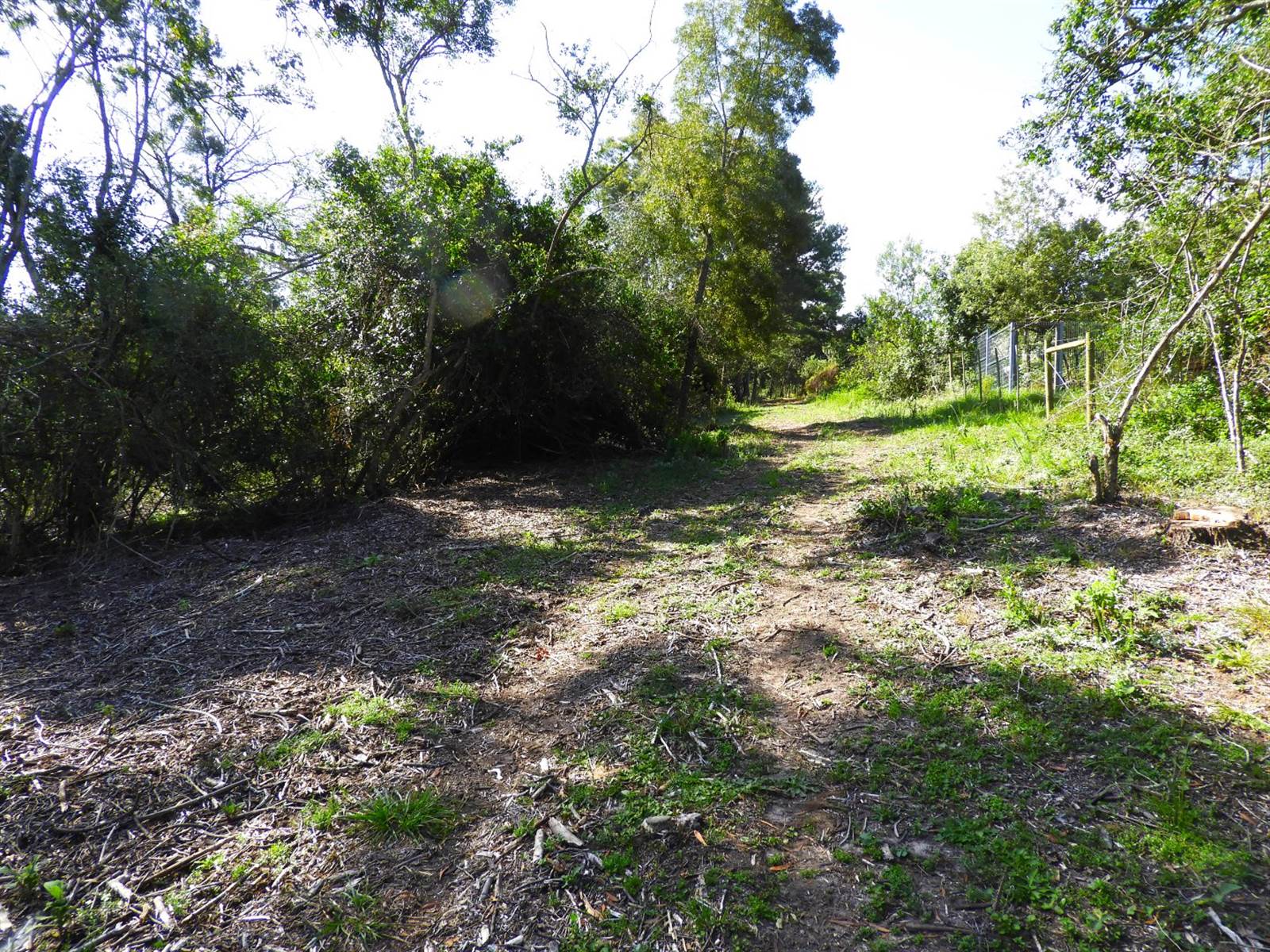3.2 ha Land available in Hoekwil photo number 7