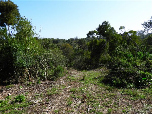 3.2 ha Land available in Hoekwil