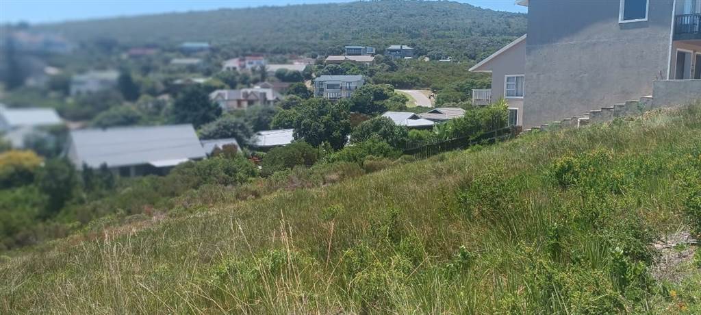 1053 m² Land available in Brenton on Sea photo number 6