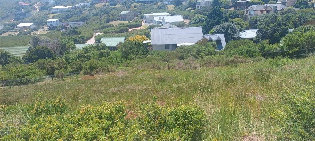 1053 m² Land available in Brenton on Sea photo number 13