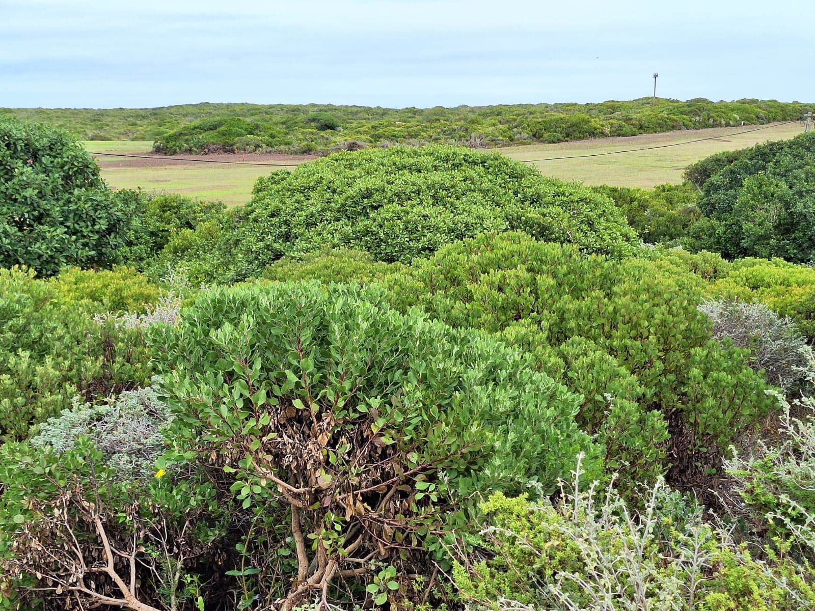 622 m² Land available in Kleinbaai photo number 3