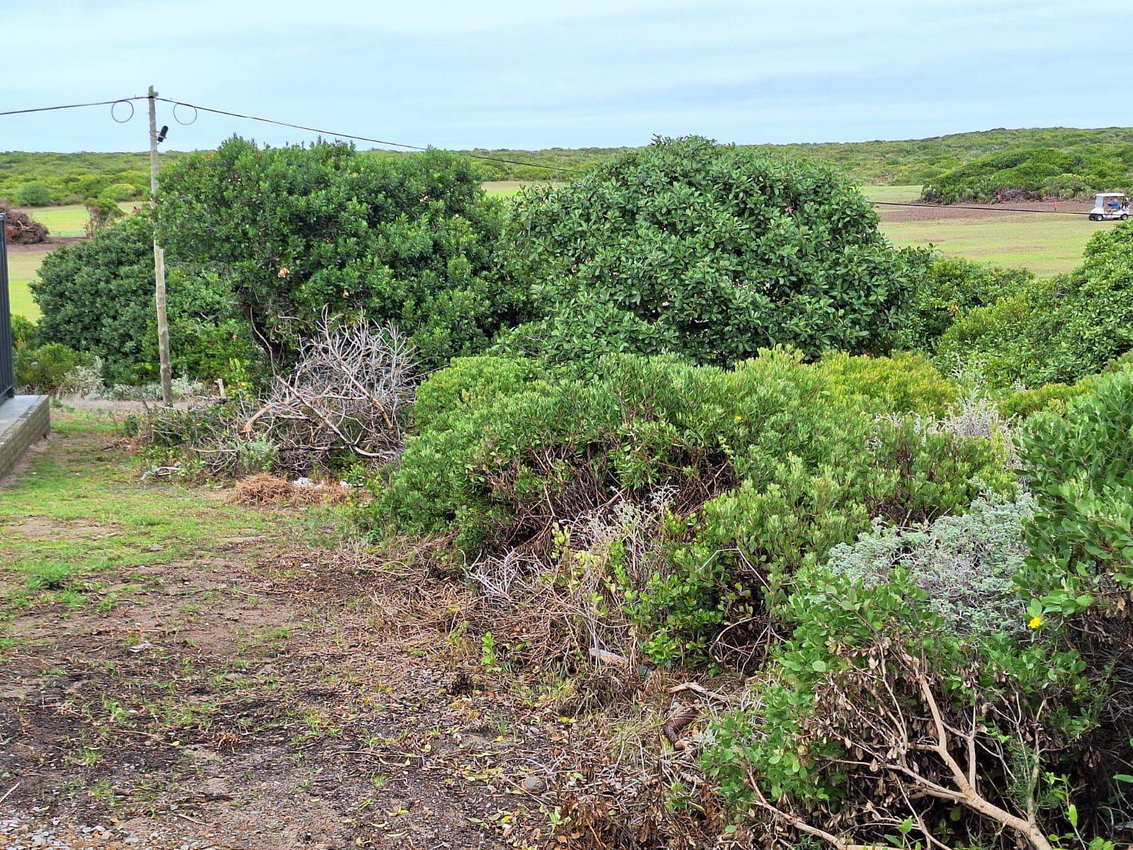 622 m² Land available in Kleinbaai photo number 5