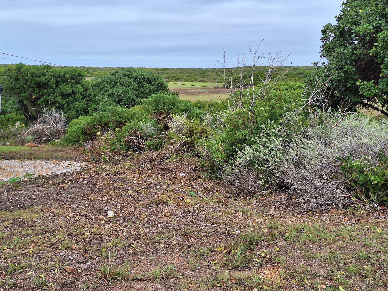 622 m² Land available in Kleinbaai photo number 1