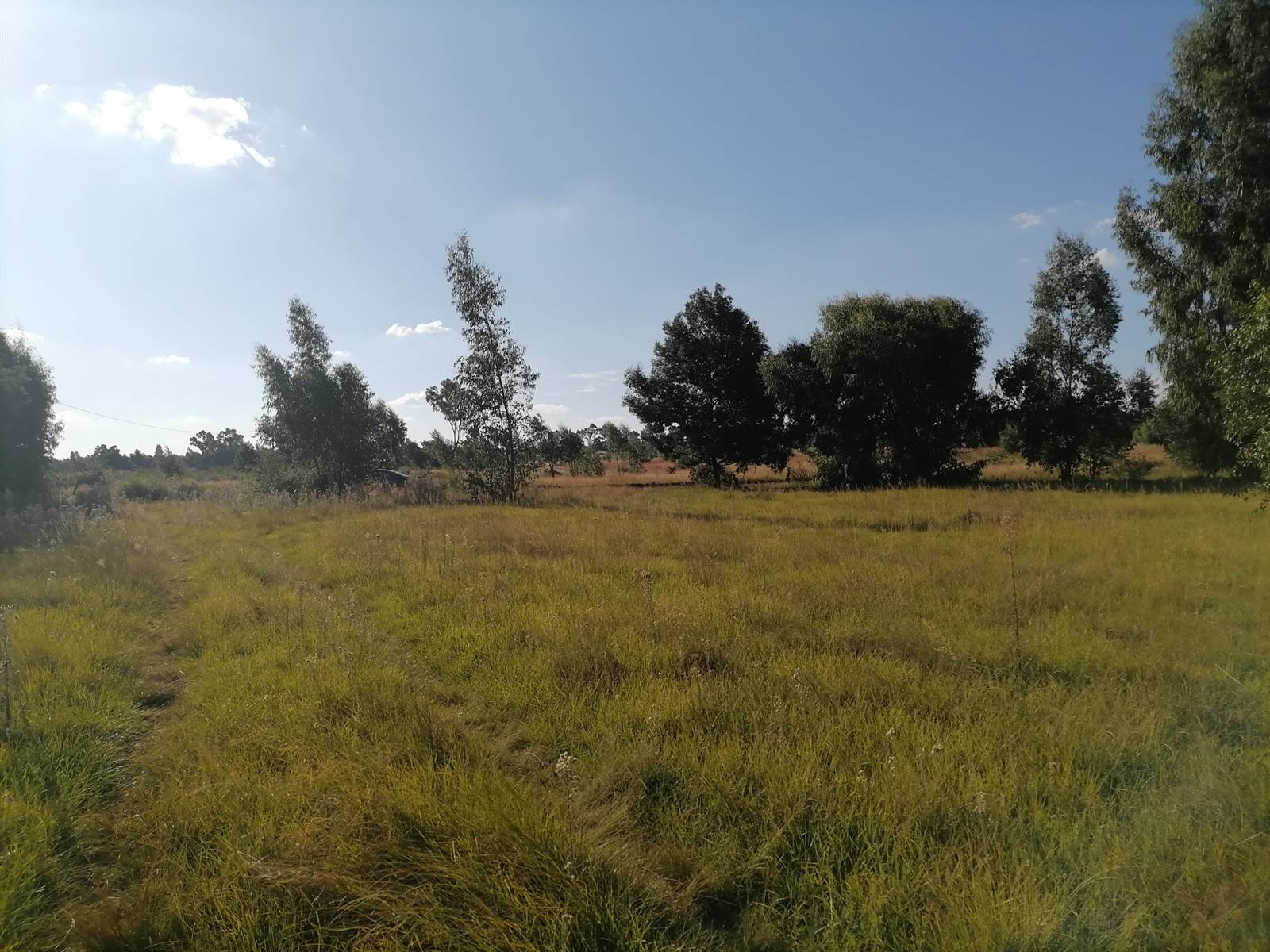 11.9 ha Land available in Hillside AH photo number 6