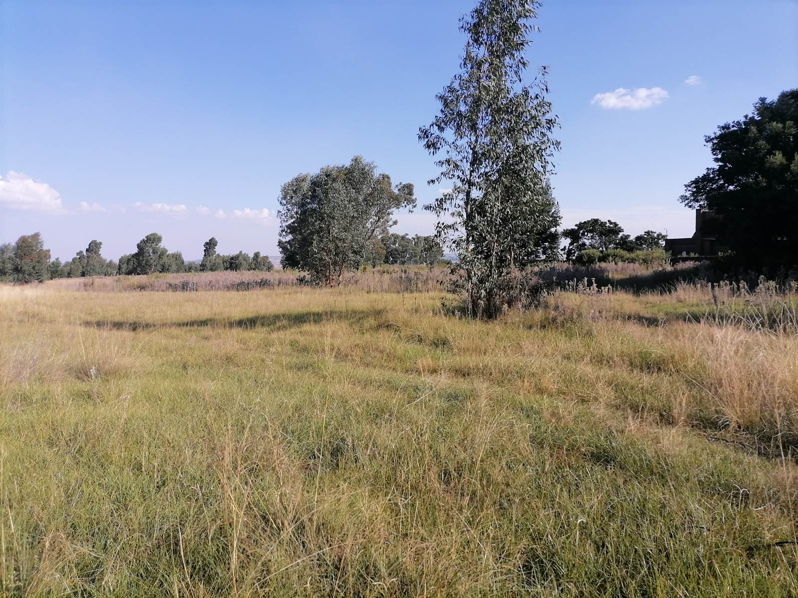 11.9 ha Land available in Hillside AH photo number 2