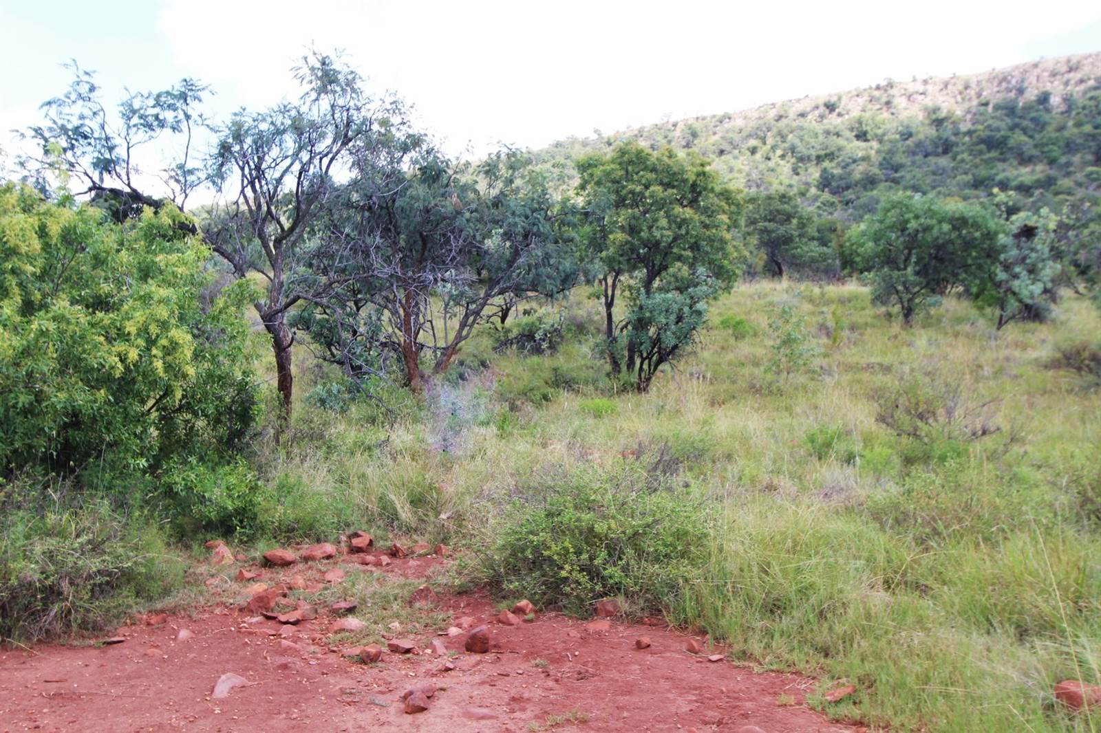 1 ha Land available in Modimolle photo number 4