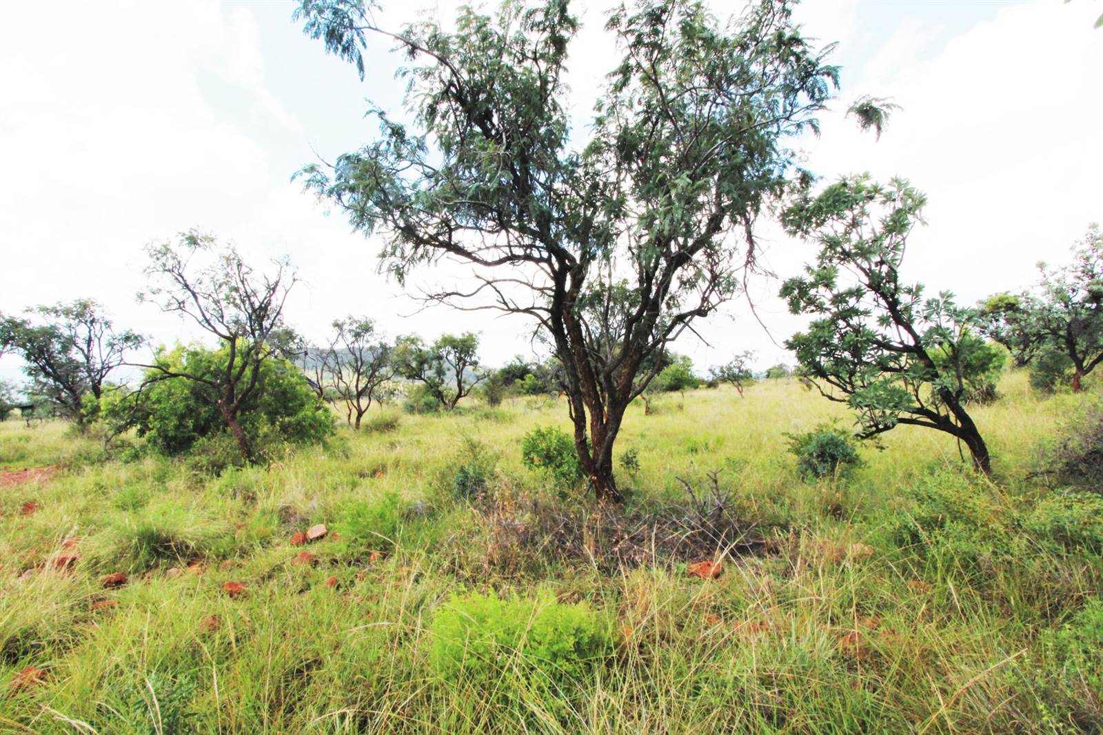 1 ha Land available in Modimolle photo number 2