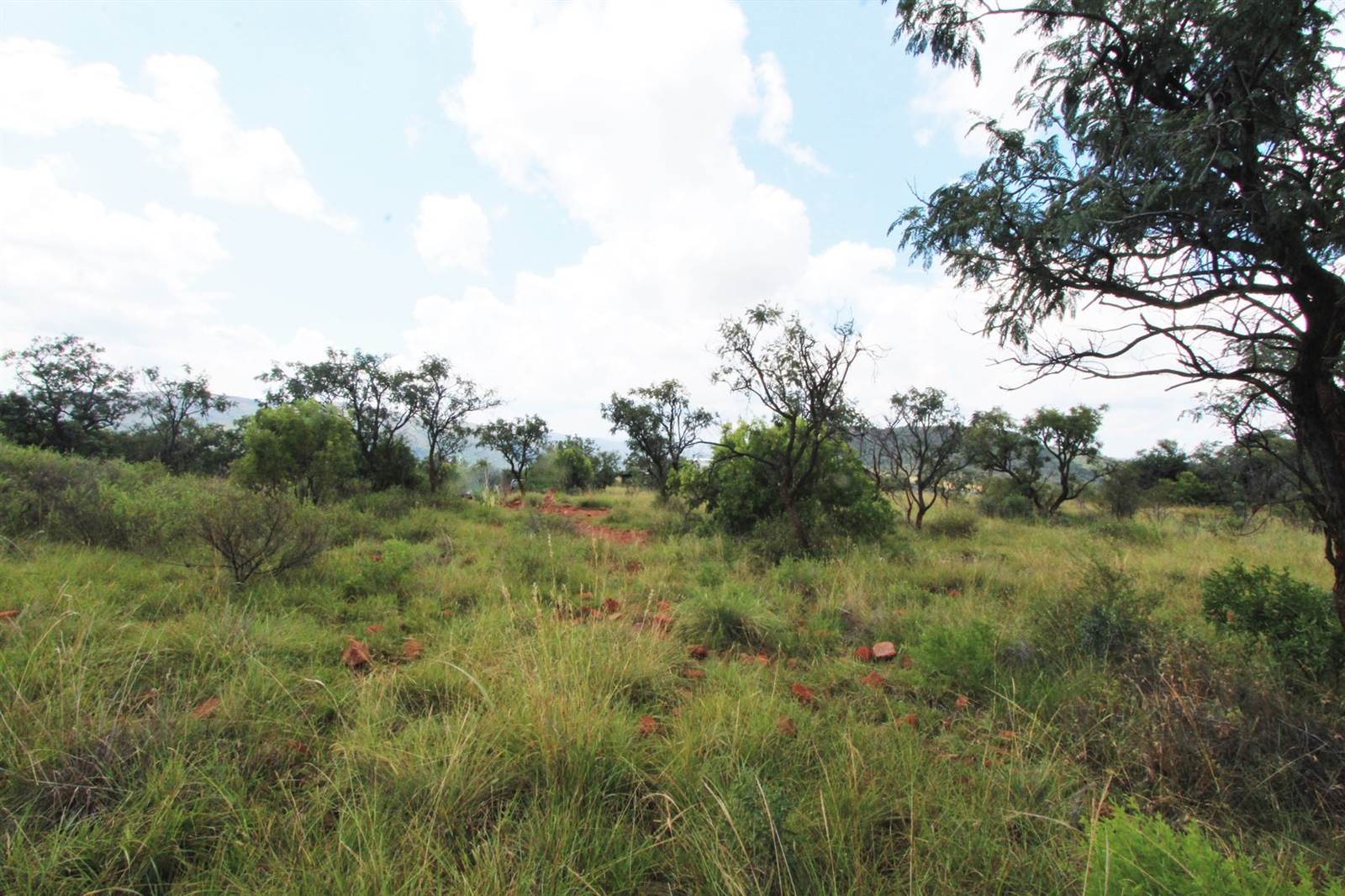 1 ha Land available in Modimolle photo number 9