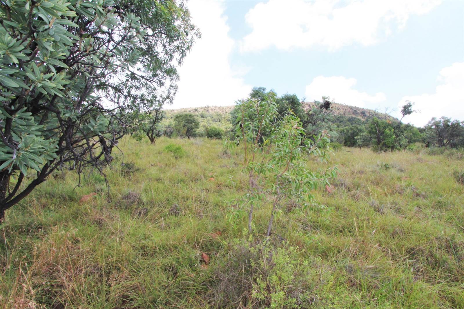 1 ha Land available in Modimolle photo number 10