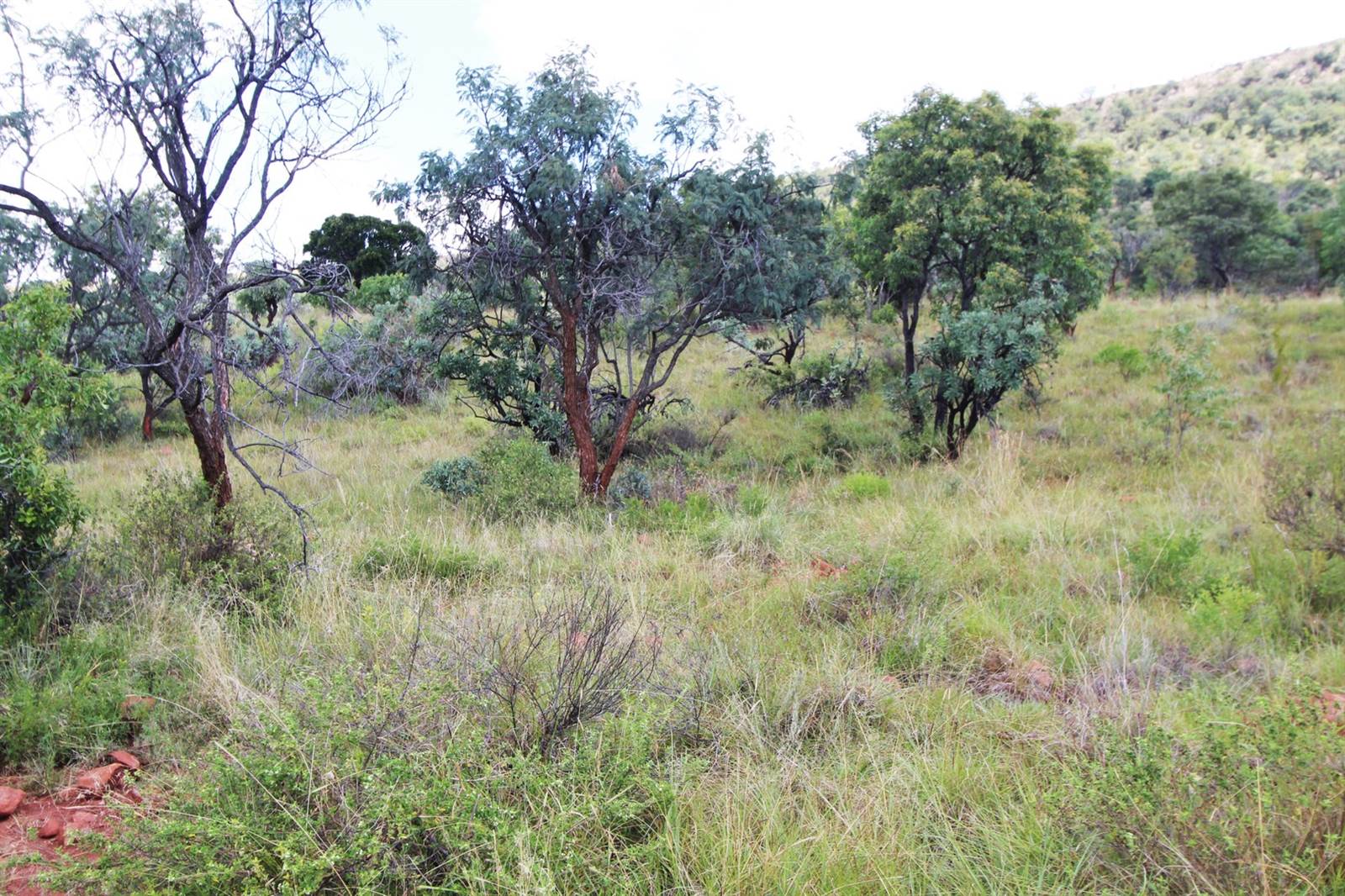 1 ha Land available in Modimolle photo number 7