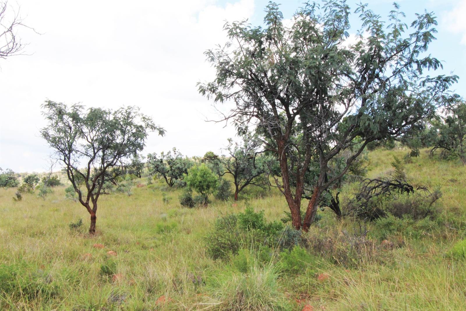 1 ha Land available in Modimolle photo number 6