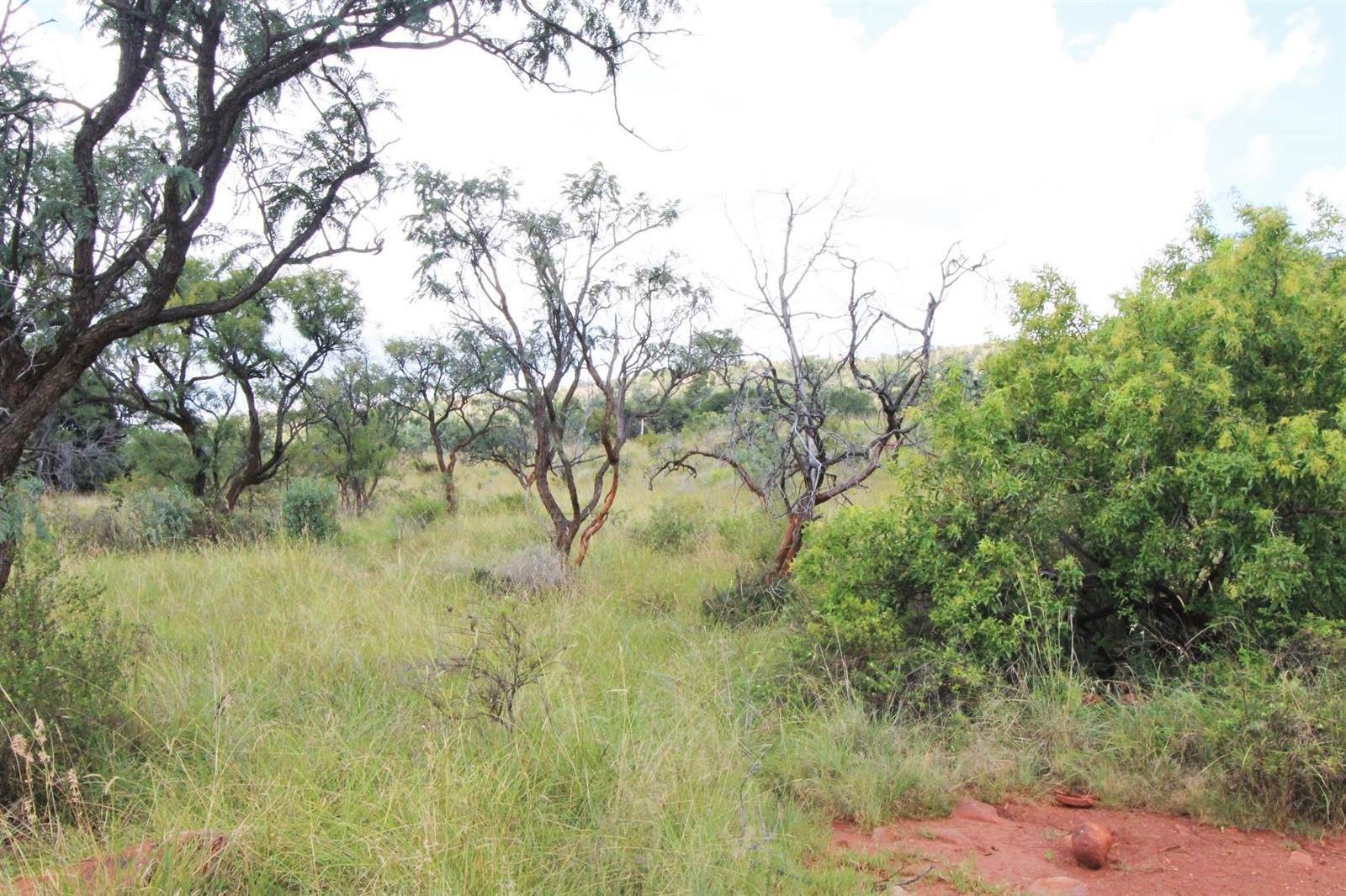 1 ha Land available in Modimolle photo number 5