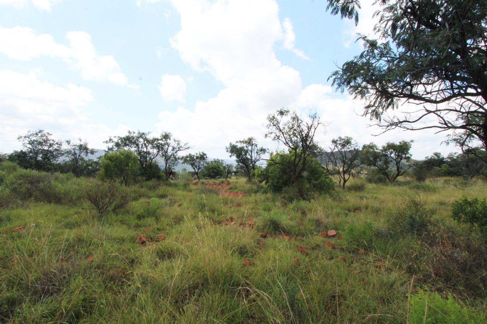 1 ha Land available in Modimolle photo number 8