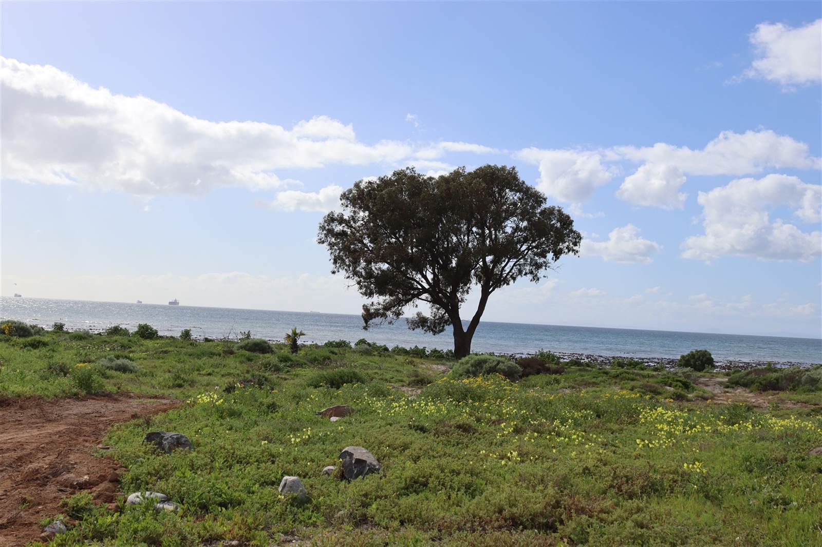 412 m² Land available in Sandy Point photo number 2