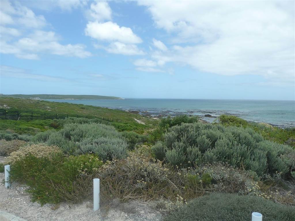 557 m² Land available in Gansbaai and surrounds photo number 8