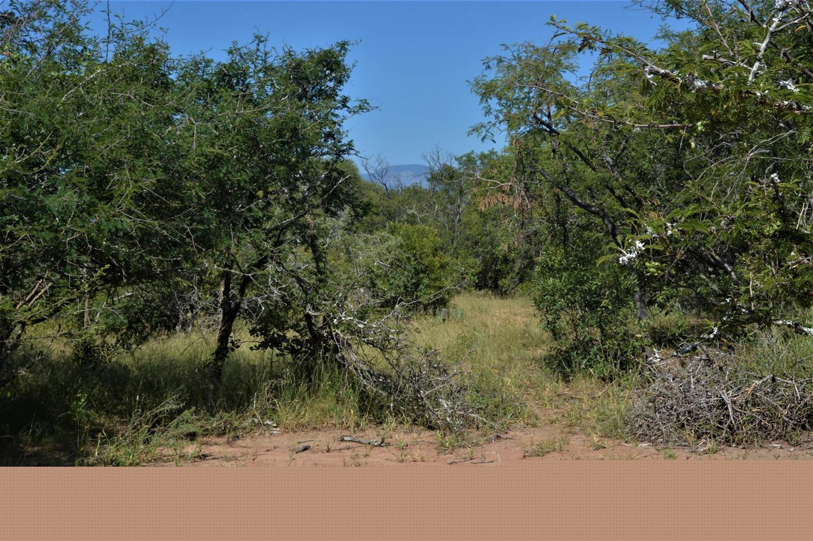 2 ha Land available in Moditlo Nature Reserve photo number 8