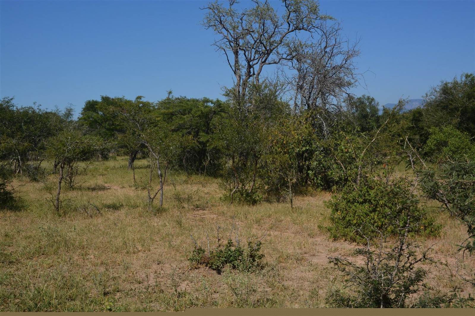 2 ha Land available in Moditlo Nature Reserve photo number 2