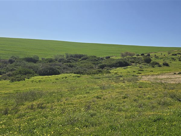 771 m² Land