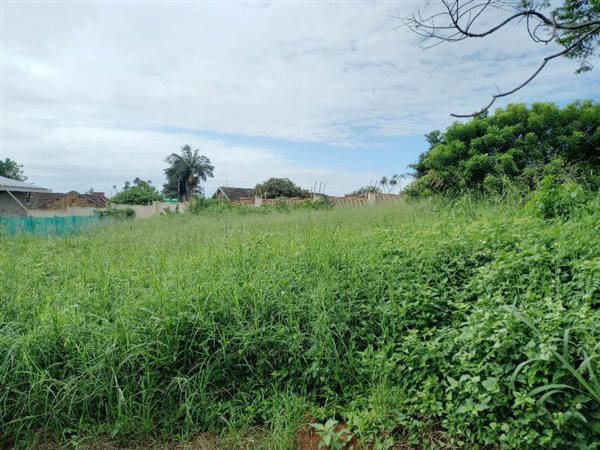 1 167 m² Land