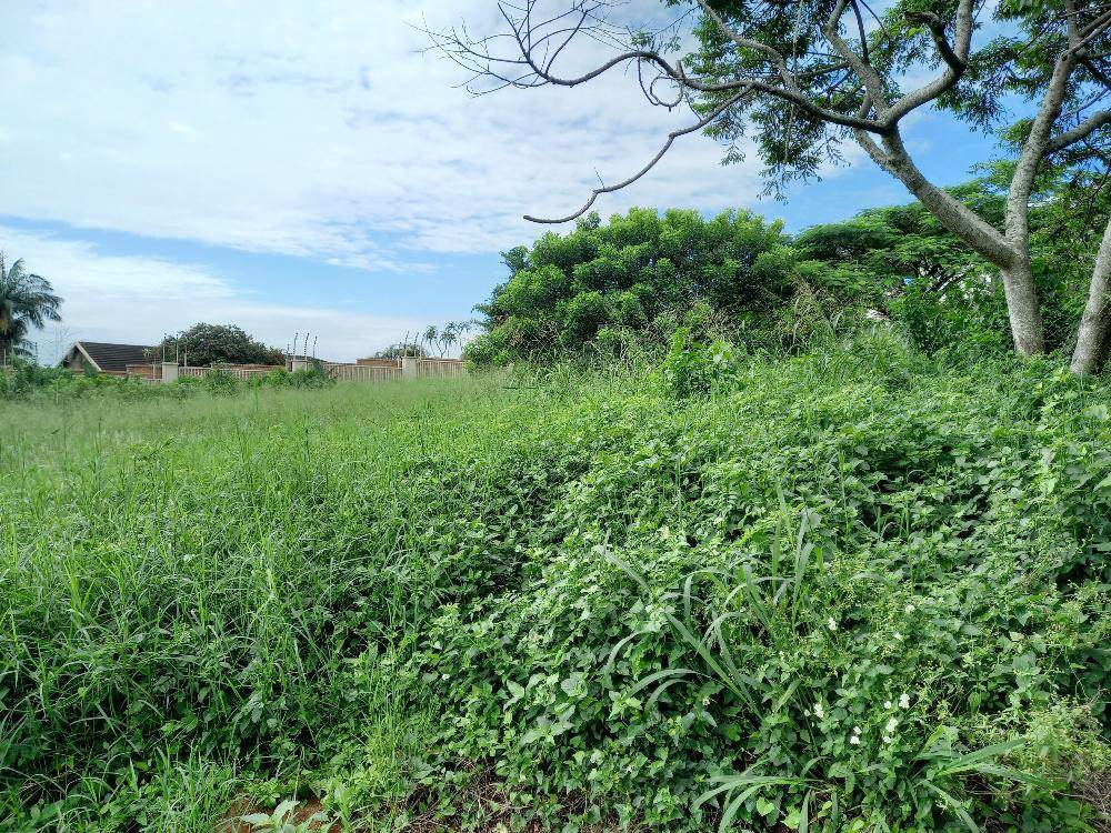 1167 m² Land available in Zinkwazi Beach photo number 8