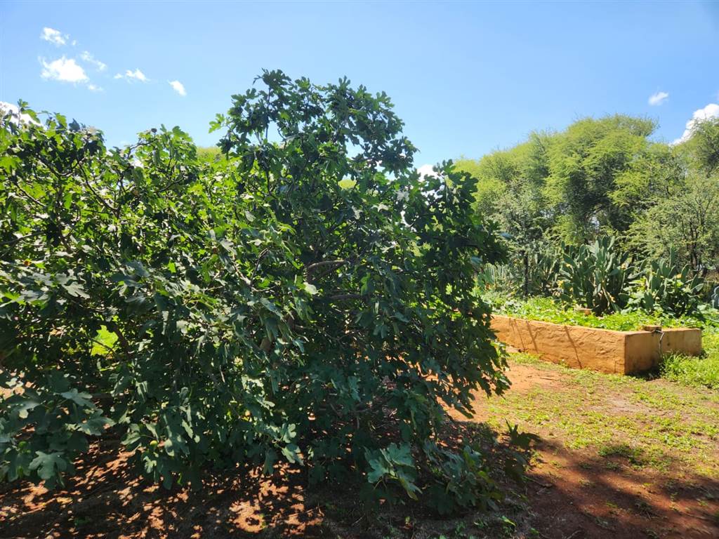 69.7 ha Farm in Thabazimbi photo number 13