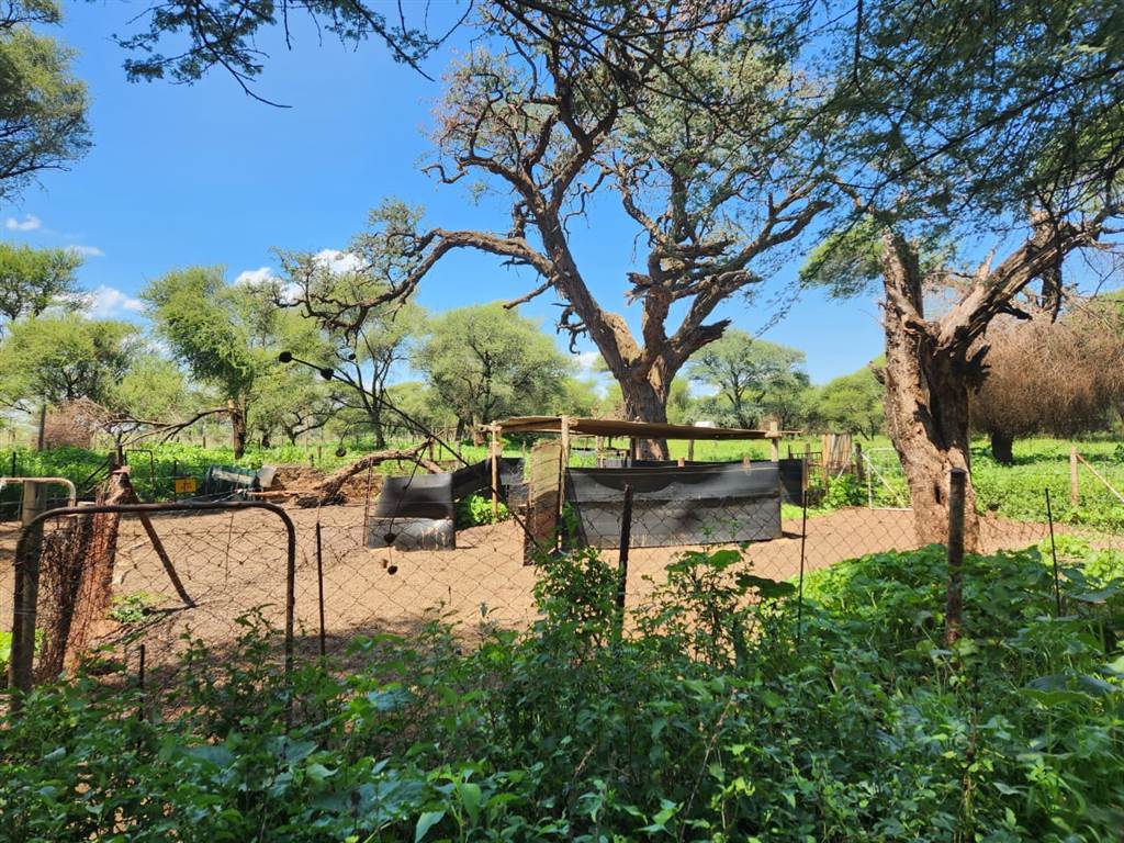 69.7 ha Farm in Thabazimbi photo number 6