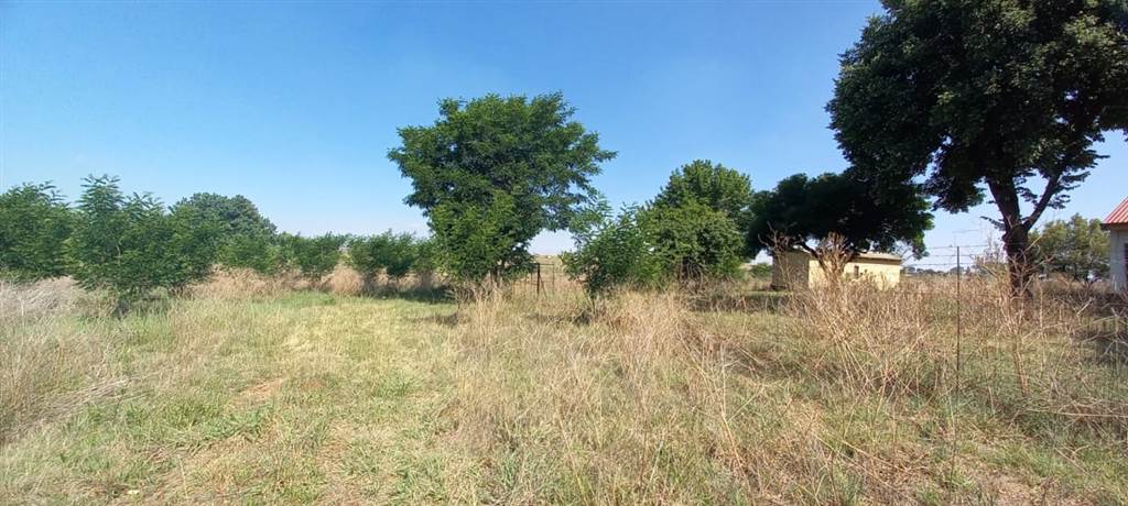 9.7 ha Land available in Pendale AH photo number 17