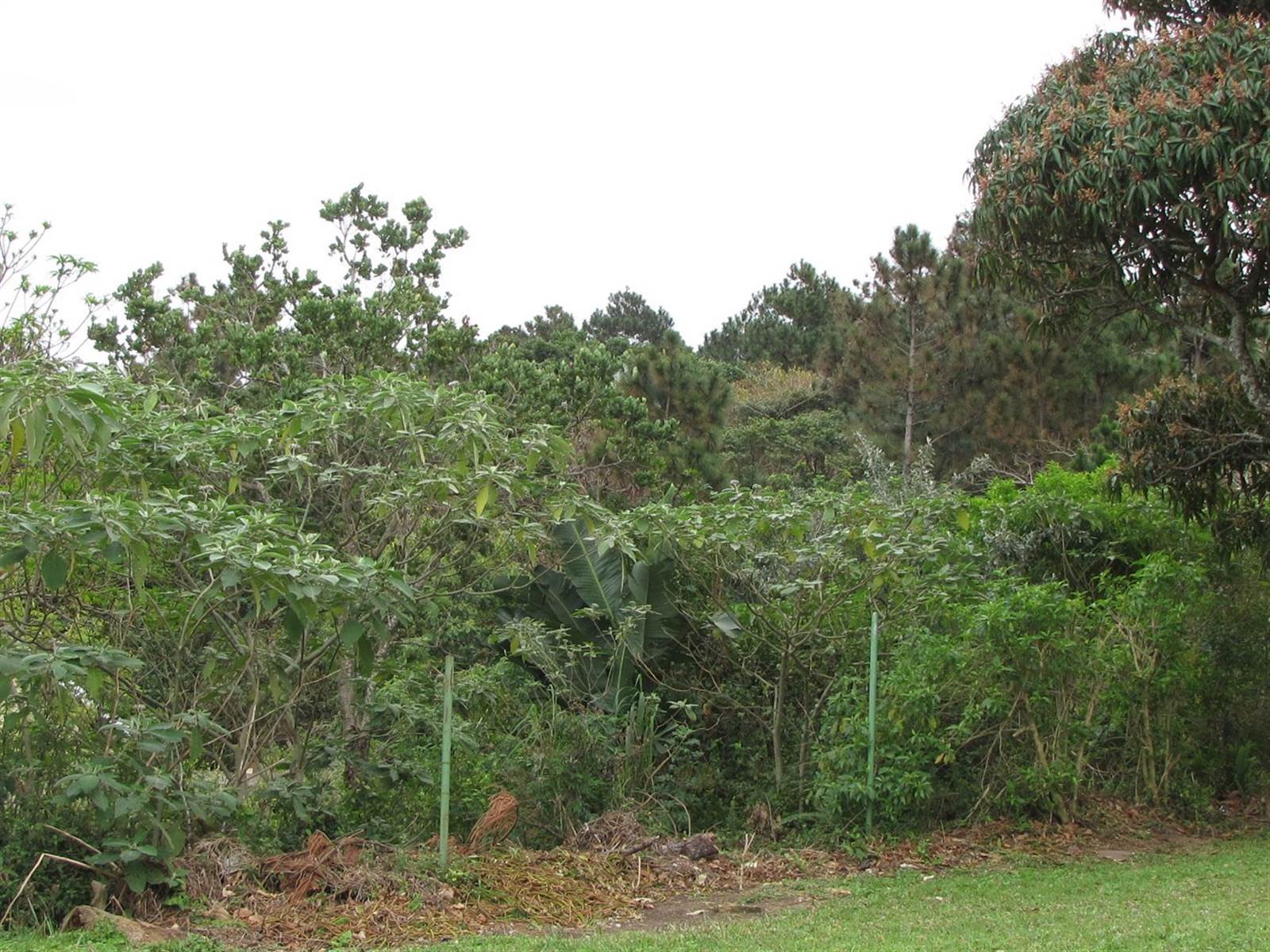 1412 m² Land available in Hibberdene photo number 9