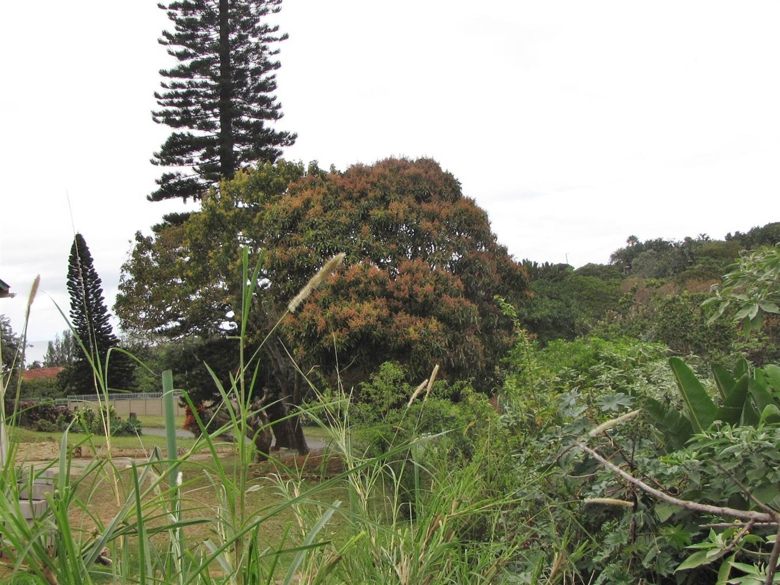 1412 m² Land available in Hibberdene photo number 6