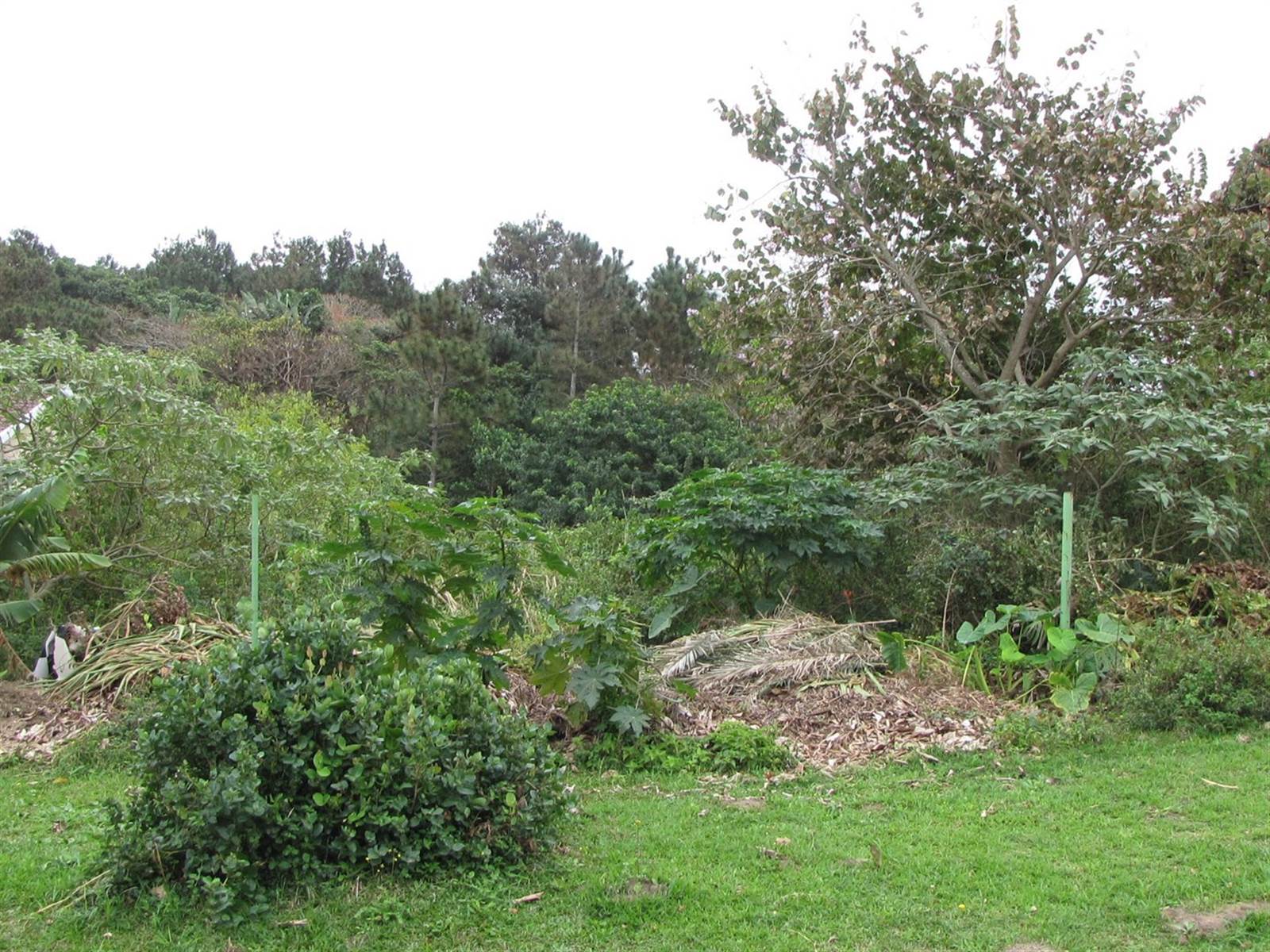 1412 m² Land available in Hibberdene photo number 2