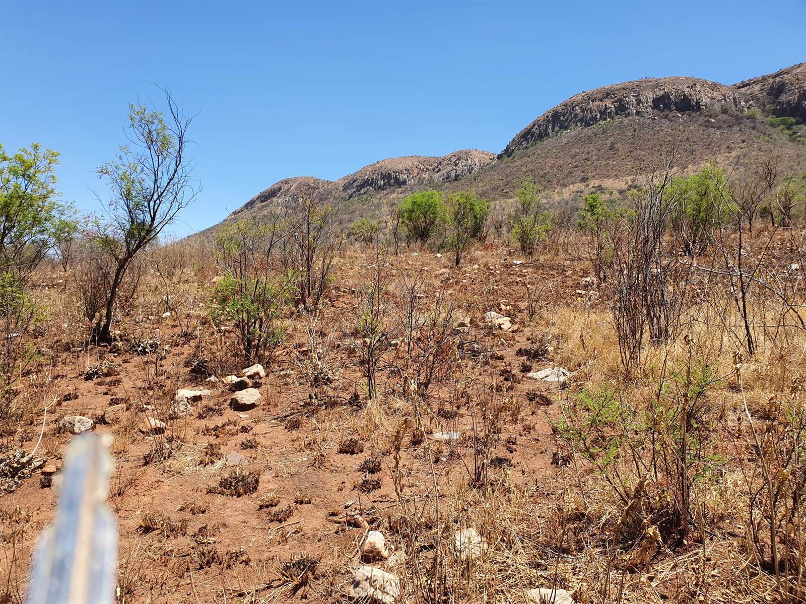 51.6 ha Land available in Rietfontein photo number 9