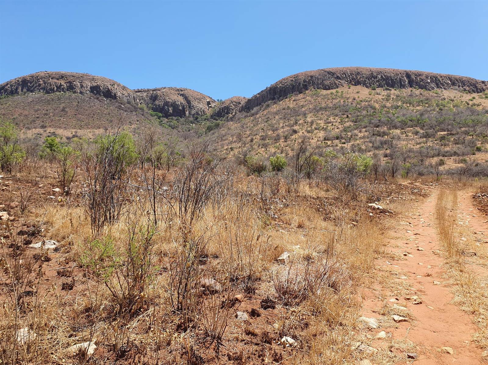 51.6 ha Land available in Rietfontein photo number 12