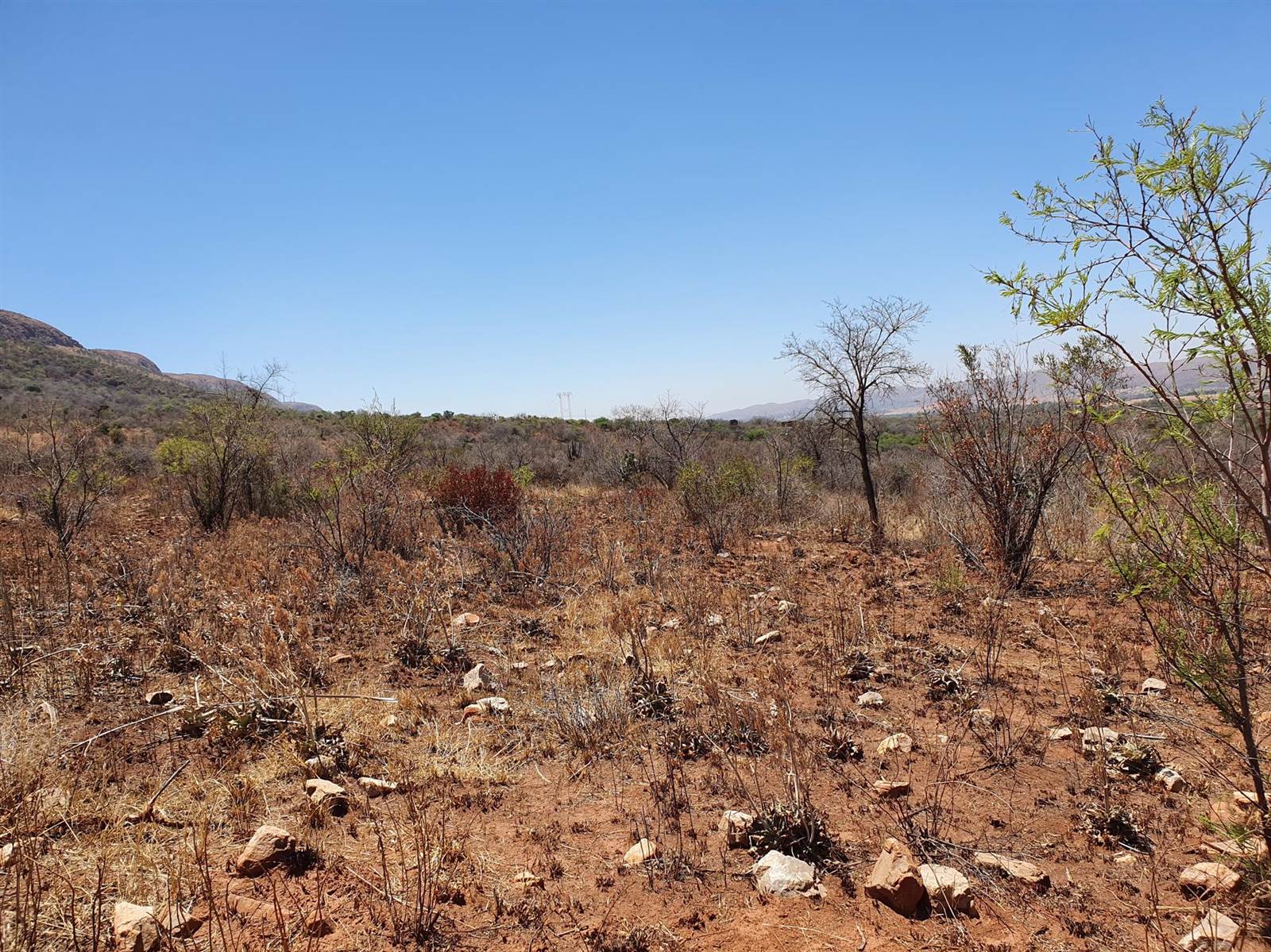 51.6 ha Land available in Rietfontein photo number 15