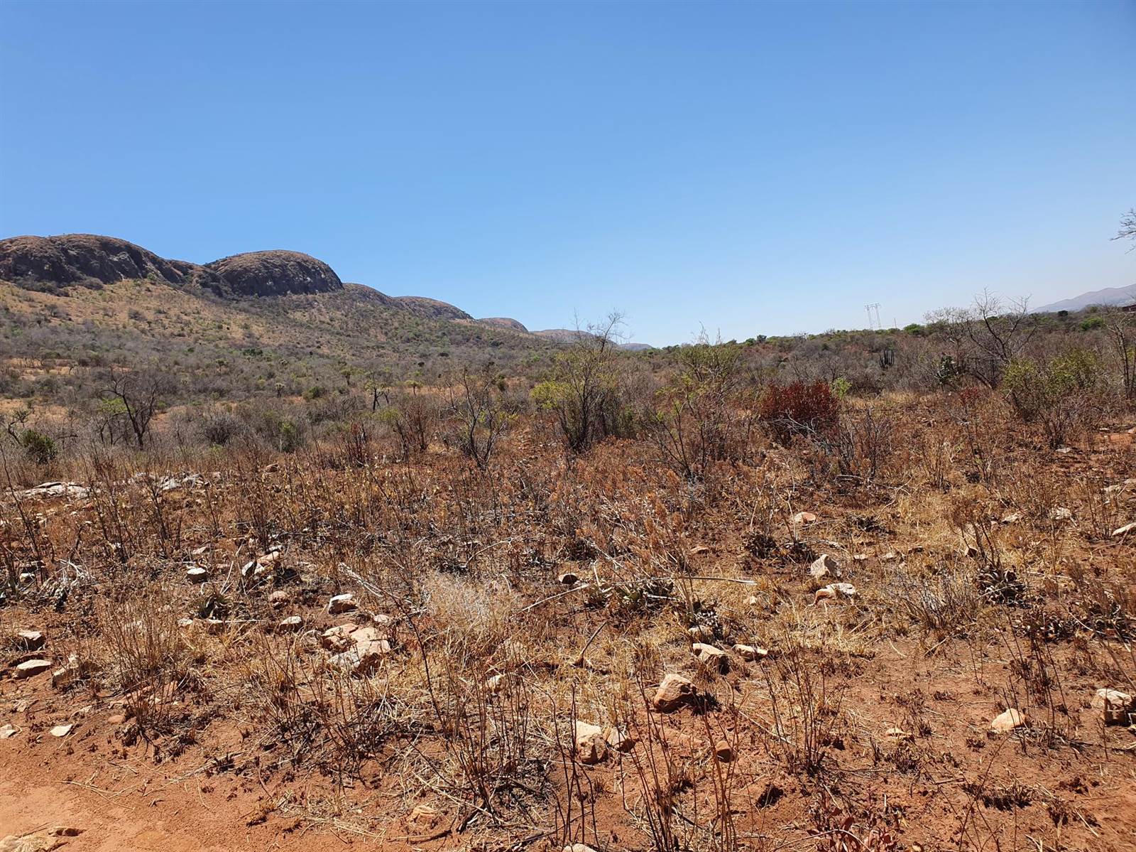 51.6 ha Land available in Rietfontein photo number 14