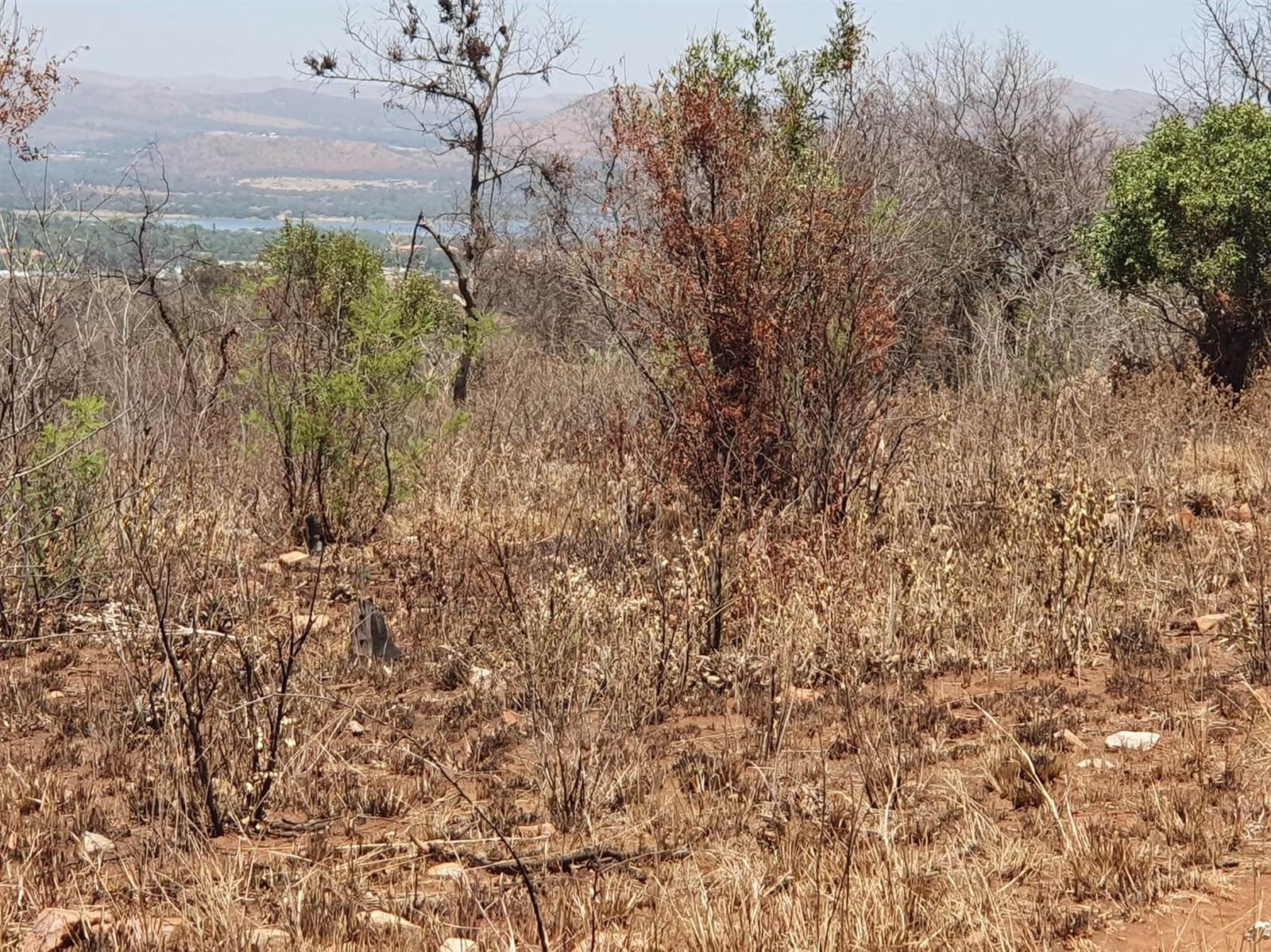 51.6 ha Land available in Rietfontein photo number 5