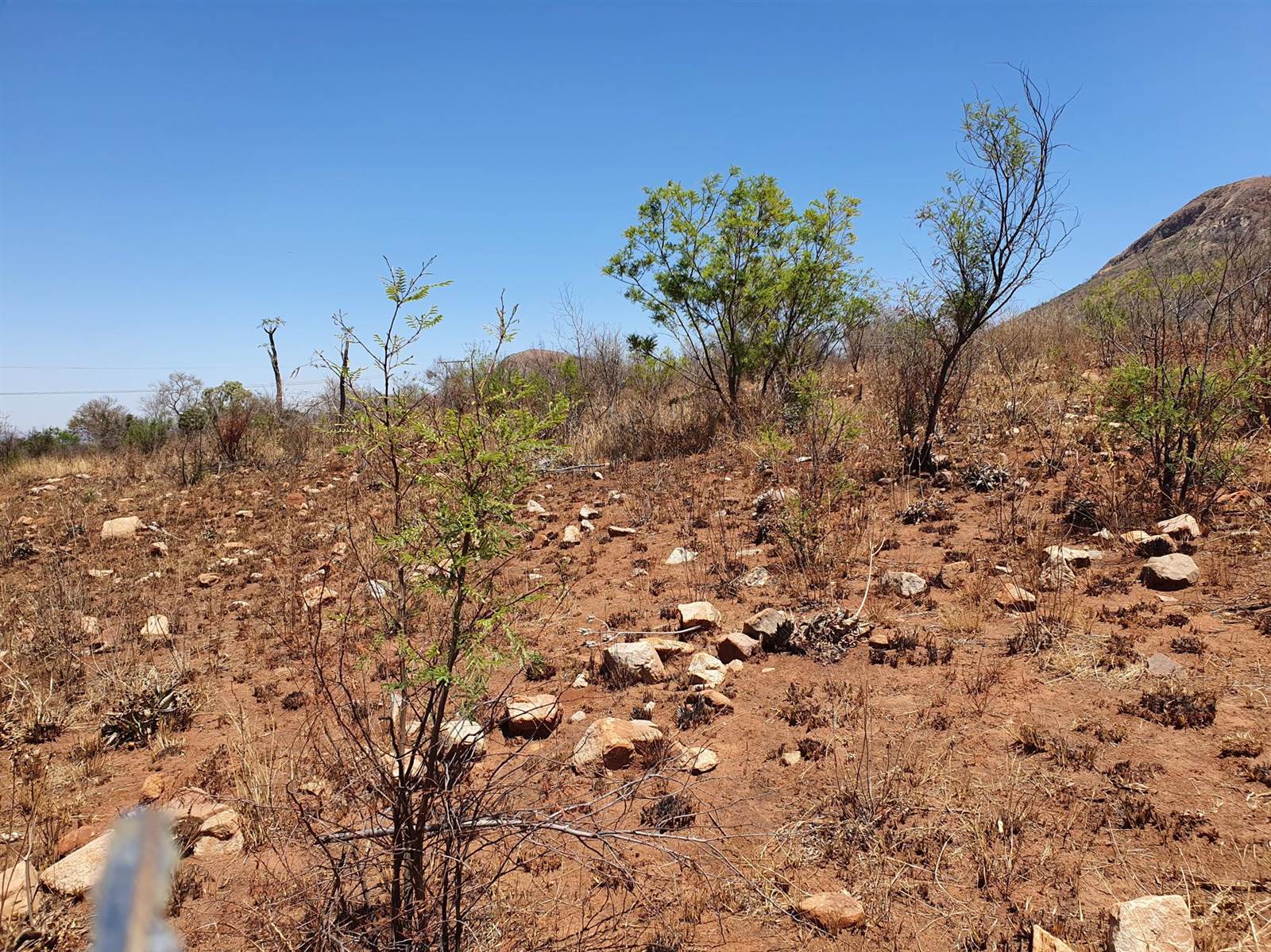 51.6 ha Land available in Rietfontein photo number 10