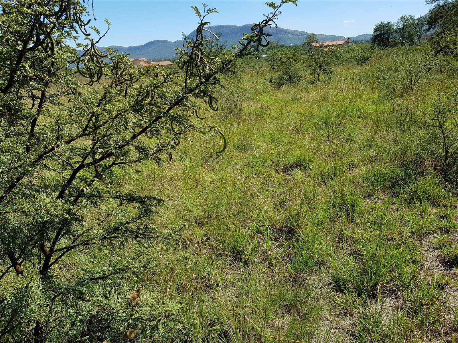 51.6 ha Land available in Rietfontein photo number 4