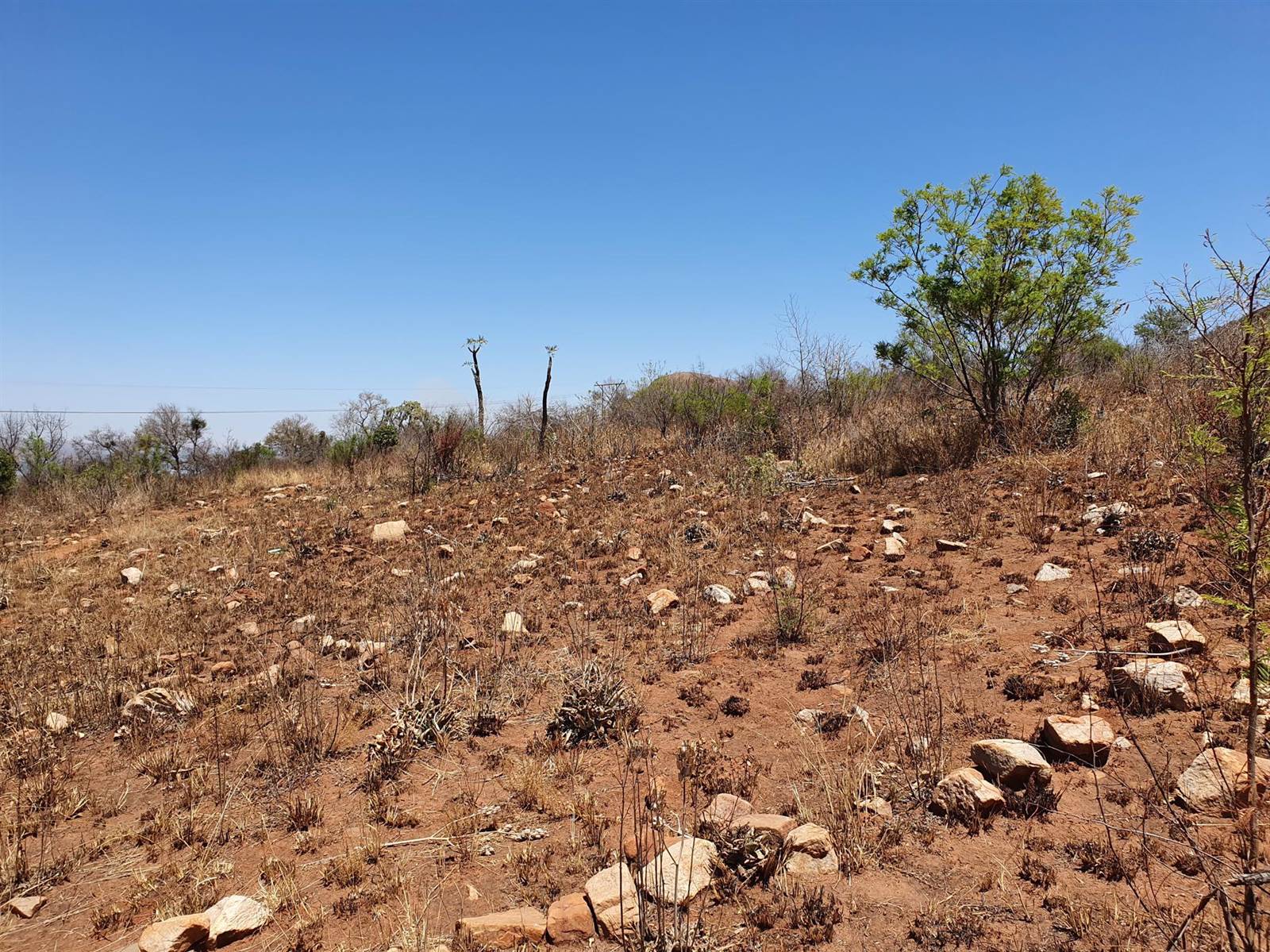 51.6 ha Land available in Rietfontein photo number 19