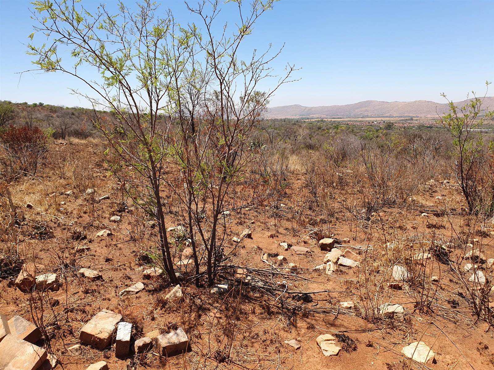 51.6 ha Land available in Rietfontein photo number 11