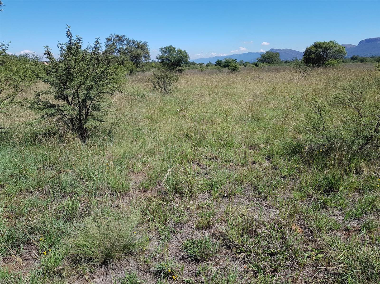 51.6 ha Land available in Rietfontein photo number 6